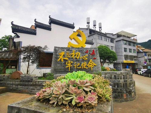 “浙”里山花格外红——记中国电信浙江公司扶