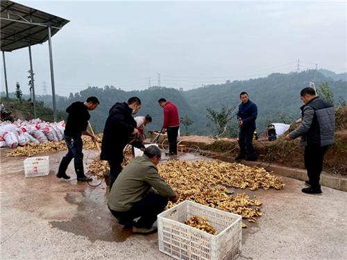 中国电信按照中央“四个不摘”要求，积极推动
