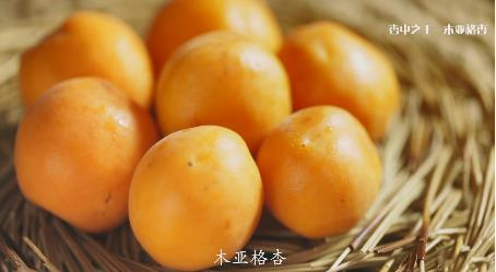 中国电信新疆公司高举信息大旗全面深入落实数