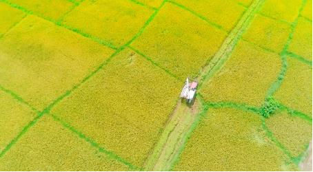 中国电信广西公司定点帮扶村贺州市八步区铺门