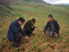 甘肃公司扶贫纪实 “扶”起向上的力量