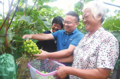 中国电信江苏公司扶贫队队员周腊成帮助种植户