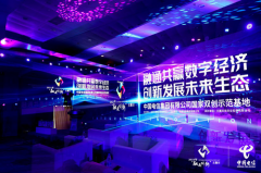 中国电信集团有限公司作为国家双创示范基地在